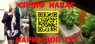 прущие крисы Новодвинск